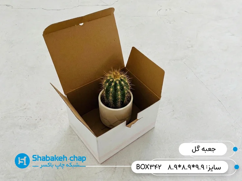 چاپ جعبه و بسته بندی گل و گیاه