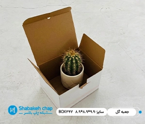 چاپ جعبه و بسته بندی گل و گیاه