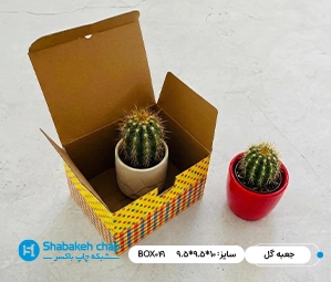 طراحی و چاپ جبعه و بسته بندی انواع گل