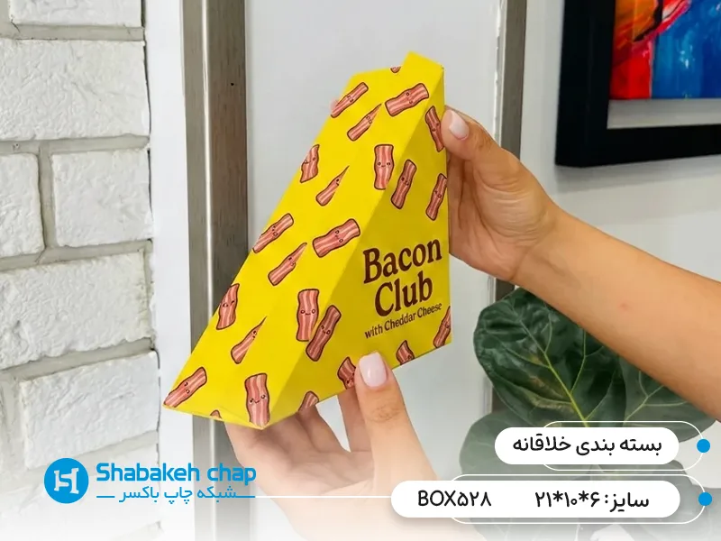ایده بسته بندی مقوایی خلاقانه