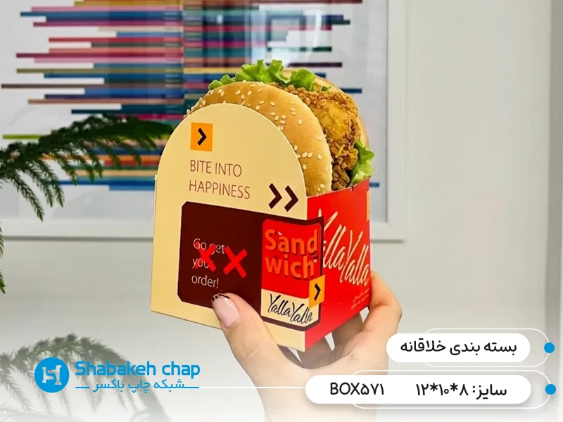 ایده بسته بندی مقوایی خلاقانه